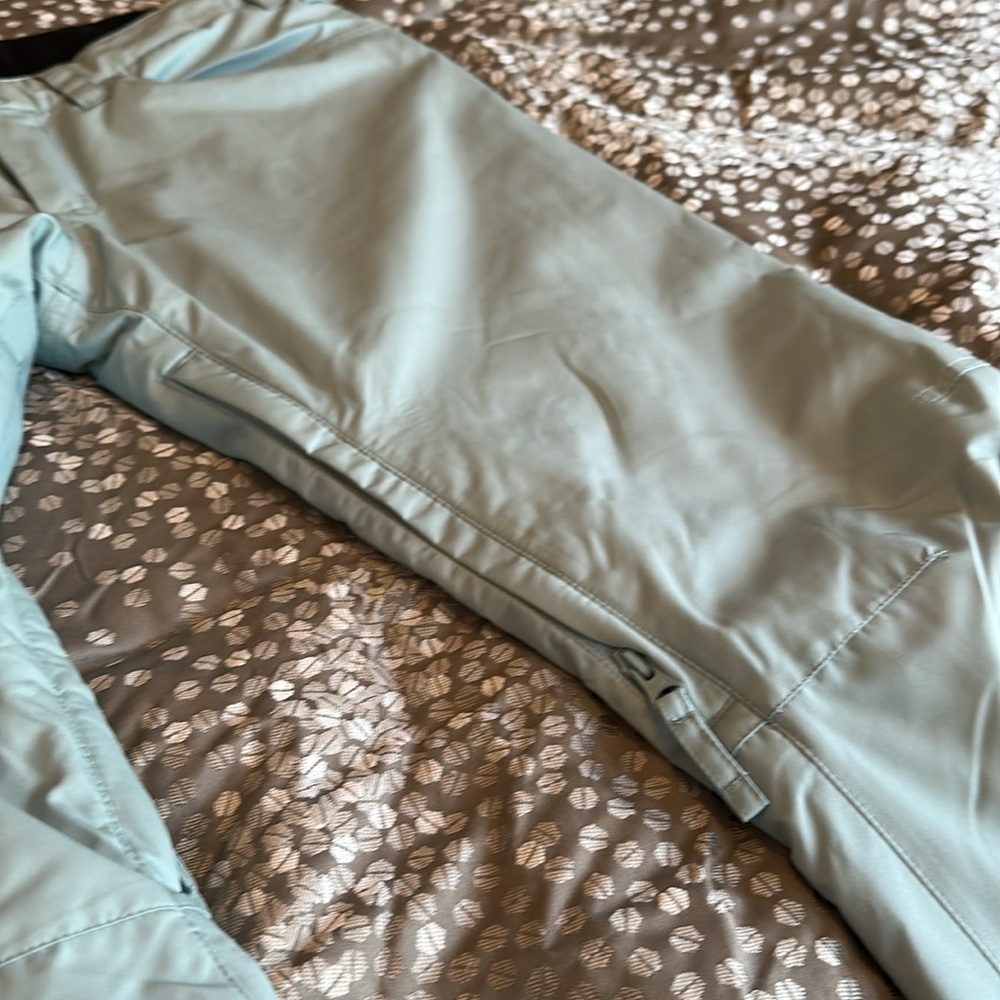 Roxy Backyard snow pants, aqua blue size large - Picture 6 of 8